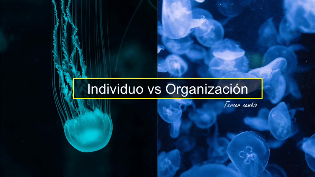 Individuo vs Organizacion